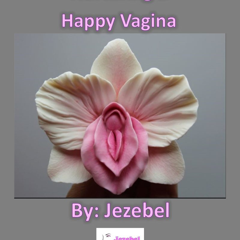 Nurturing a Happy Vagina Paperback