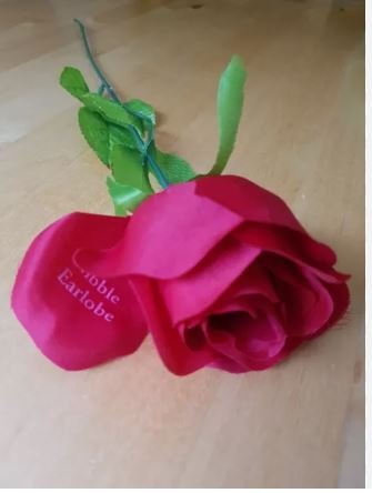 Fleur D'Amour Game